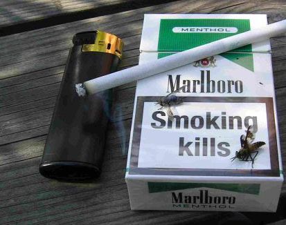 предупредительные надписи на табачной продукции
